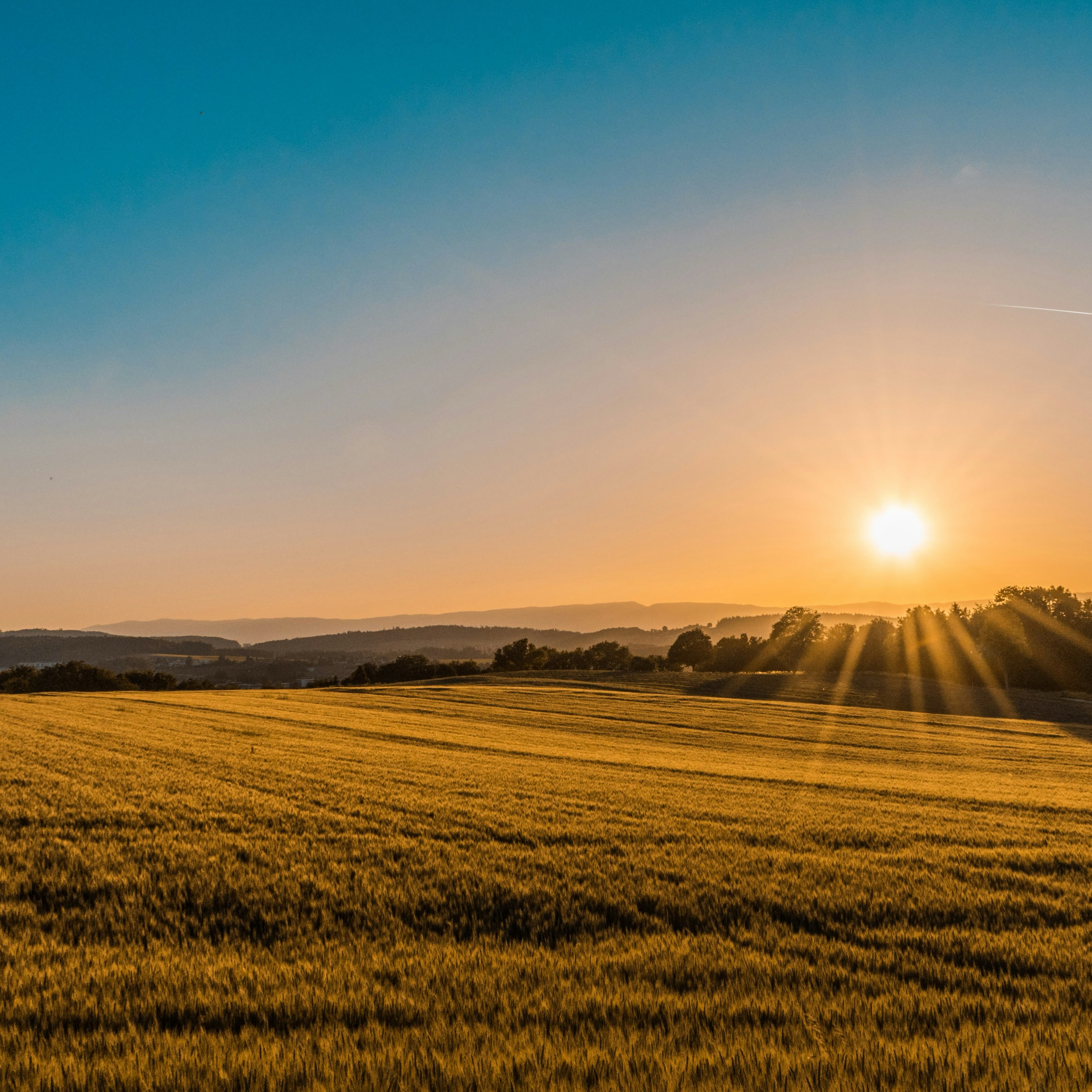 an image of a farmland in the sunset