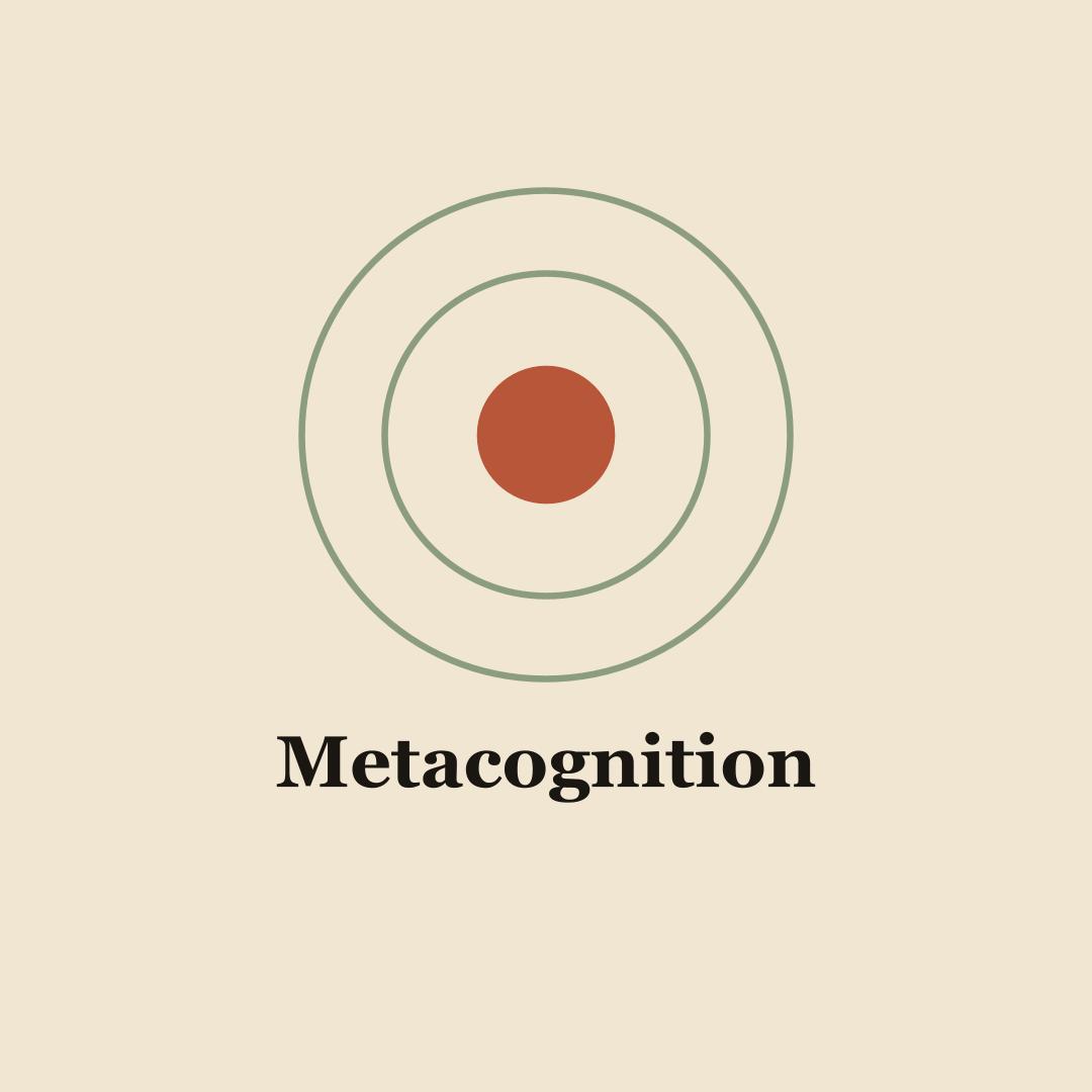 Metacognition